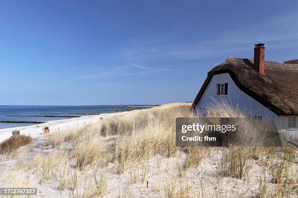 coastline of baltic sea in mecklenburg-vorpommern, germany - strohdach stock-fotos und bilder
