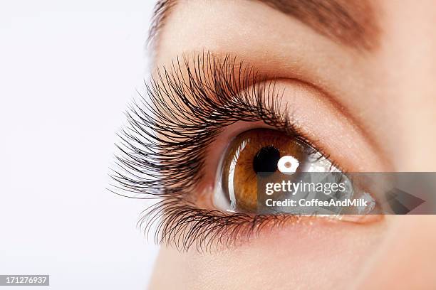 close up studio shot of woman's eye - eyelash stock pictures, royalty-free photos & images