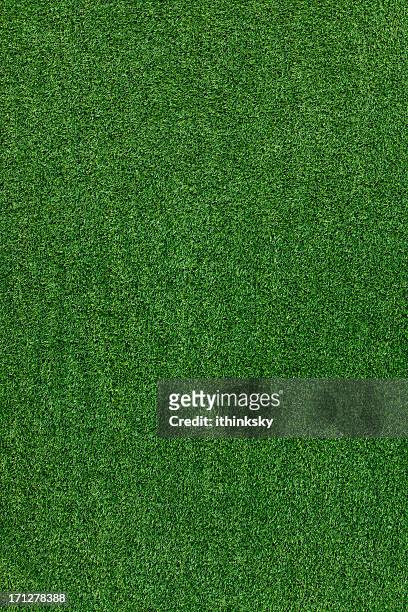 green grass texture - 草皮 個照片及圖片檔