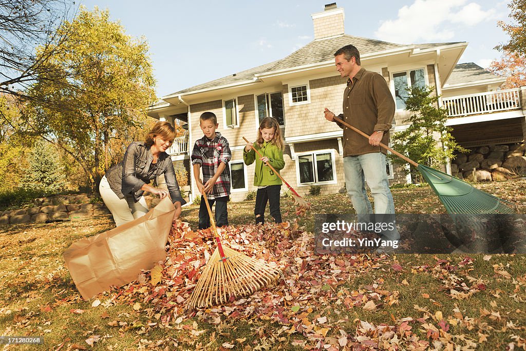 Fall Raking Volunteer Family Raking Autumn Leaves Outdoors Team Together In Home Yard High ...