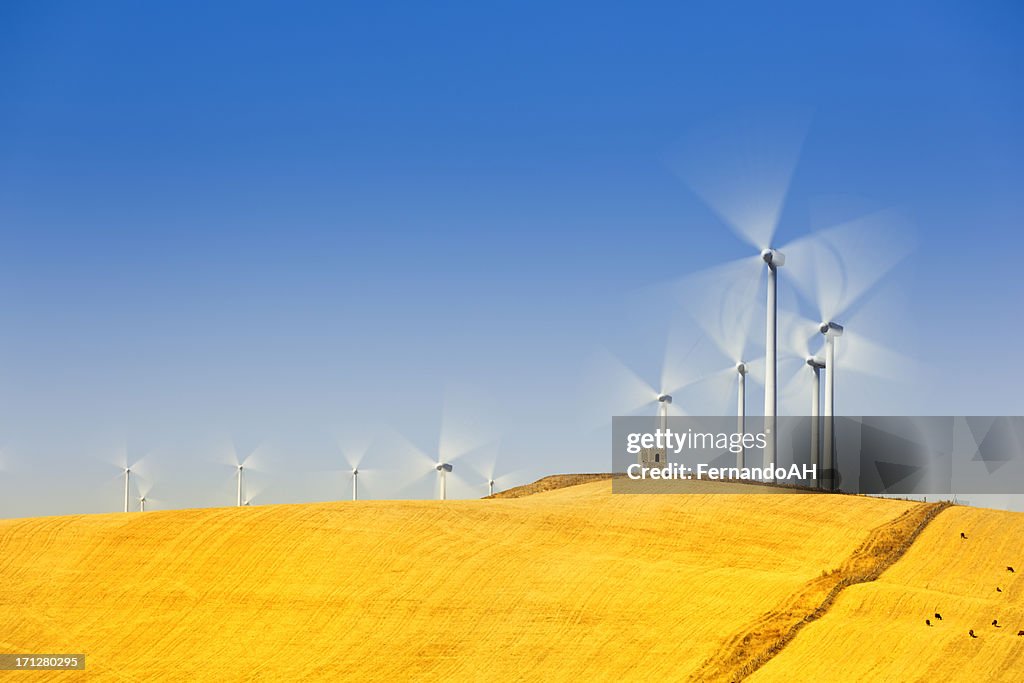 Wind farm long exposure