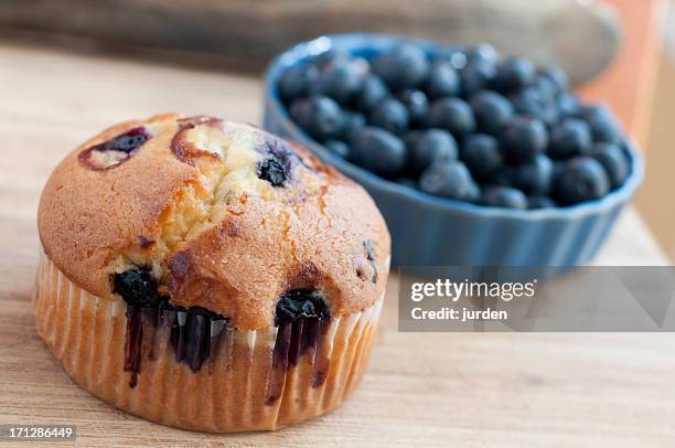 blueberry muffins - blueberry muffin stock pictures, royalty-free photos & images
