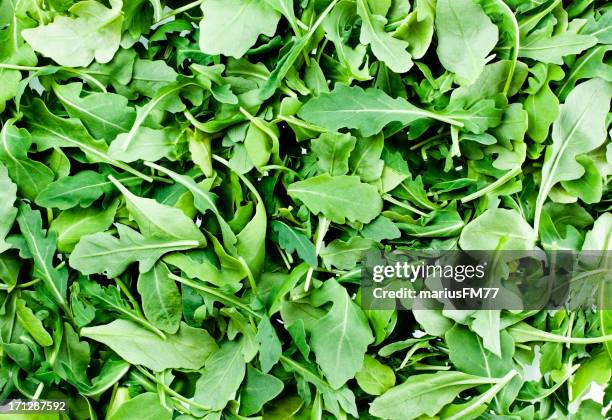 rocket - arugula stock pictures, royalty-free photos & images