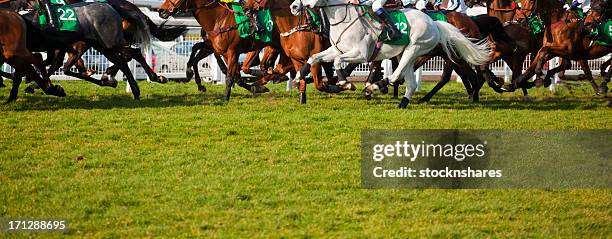 the race is on - day at the races stock pictures, royalty-free photos & images