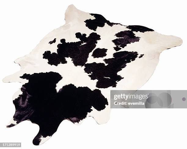 cowhide rug on white. - fur rug stock pictures, royalty-free photos & images