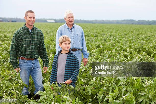 three generations on the family farm standing in crop field - happy farmers stock pictures, royalty-free photos & images