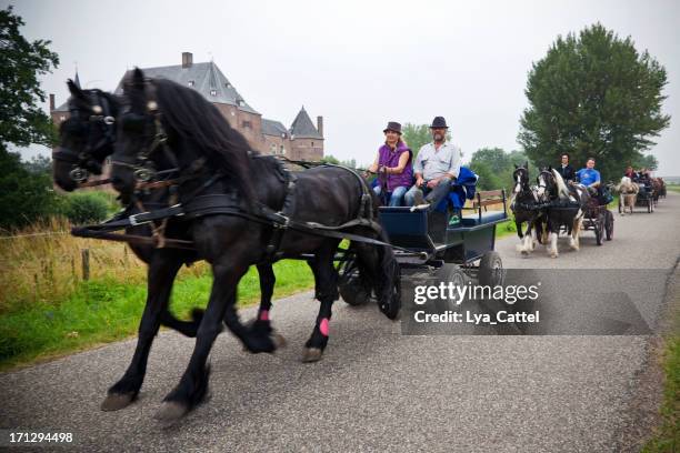 horse drawn carriage - gelderland stock pictures, royalty-free photos & images