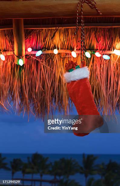 christmas light in palapa of tropical resort hotel vt - caribbean christmas 個照片及圖片檔