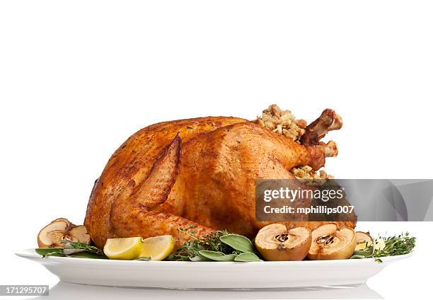 thanksgiving turkey - roasted stockfoto's en -beelden