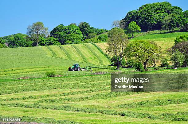 hay making - grass cut out stock pictures, royalty-free photos & images