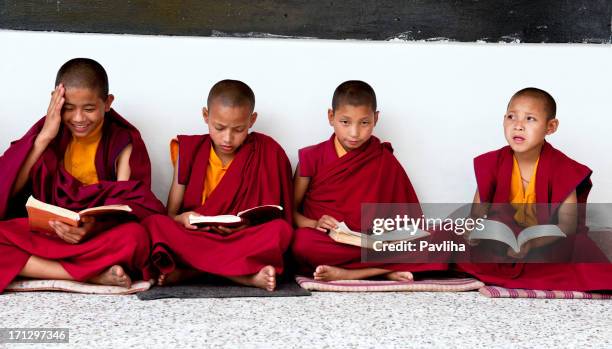 four young buddhisten studieren sikkim indien - tibetischer buddhismus stock-fotos und bilder