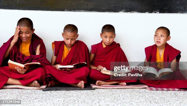 four young buddhists studying sikkim india - tibetansk buddhism bildbanksfoton och bilder