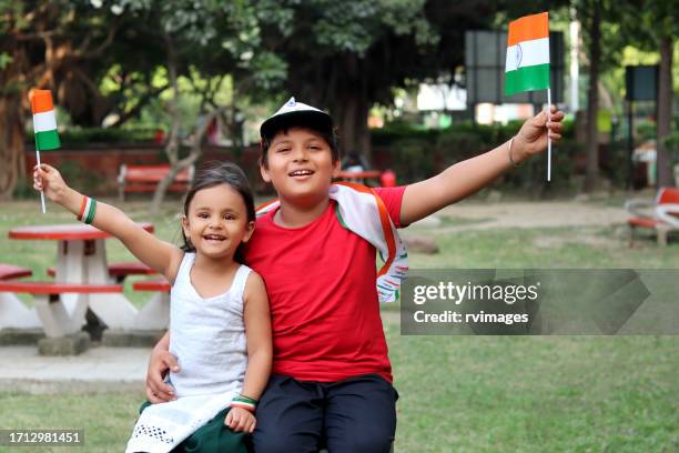 un frère ou une sœur célèbre ensemble le jour de l’indépendance - jour de lindépendance photos et images de collection