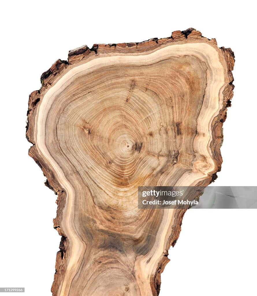 Wooden cross section