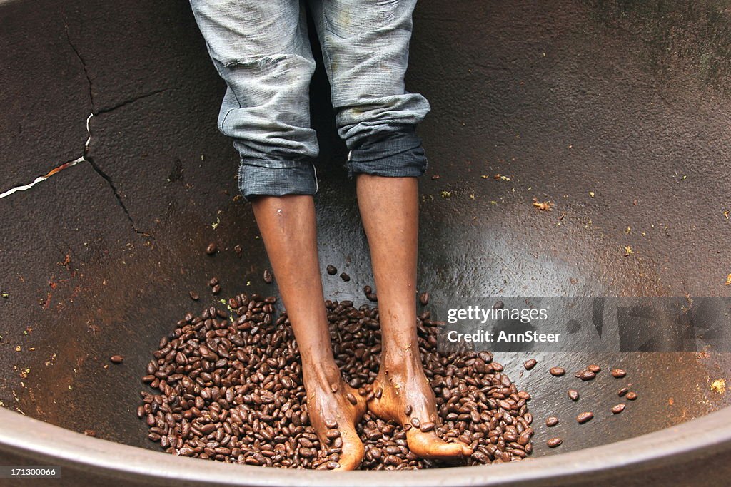 Cocoa beans