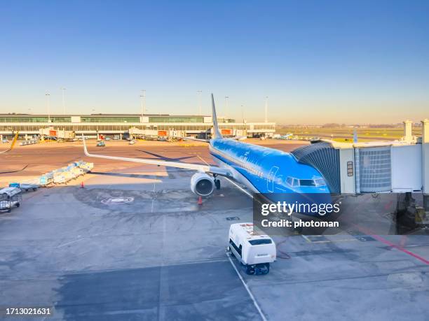 klm aeroplane front view on sunny day - amsterdam airport stock pictures, royalty-free photos & images