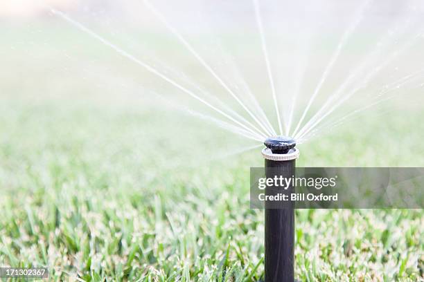 sprinkler - irrigation equipment stock pictures, royalty-free photos & images