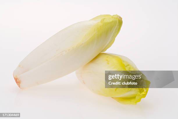 endive - chicory stock pictures, royalty-free photos & images