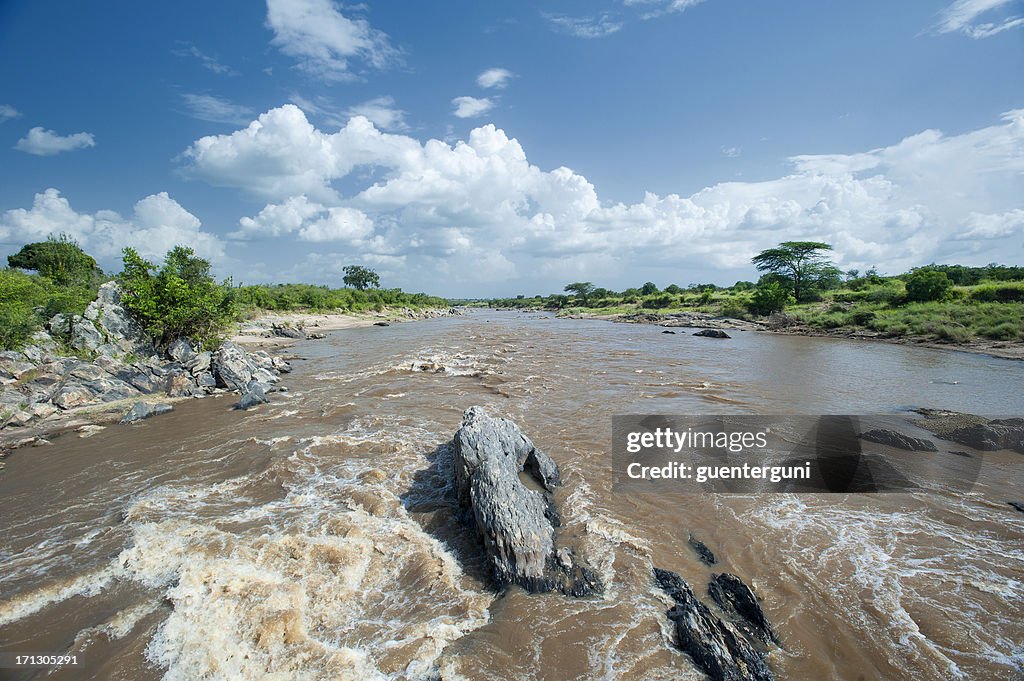 Mara River in the Serengeti/MasaiMara eco system