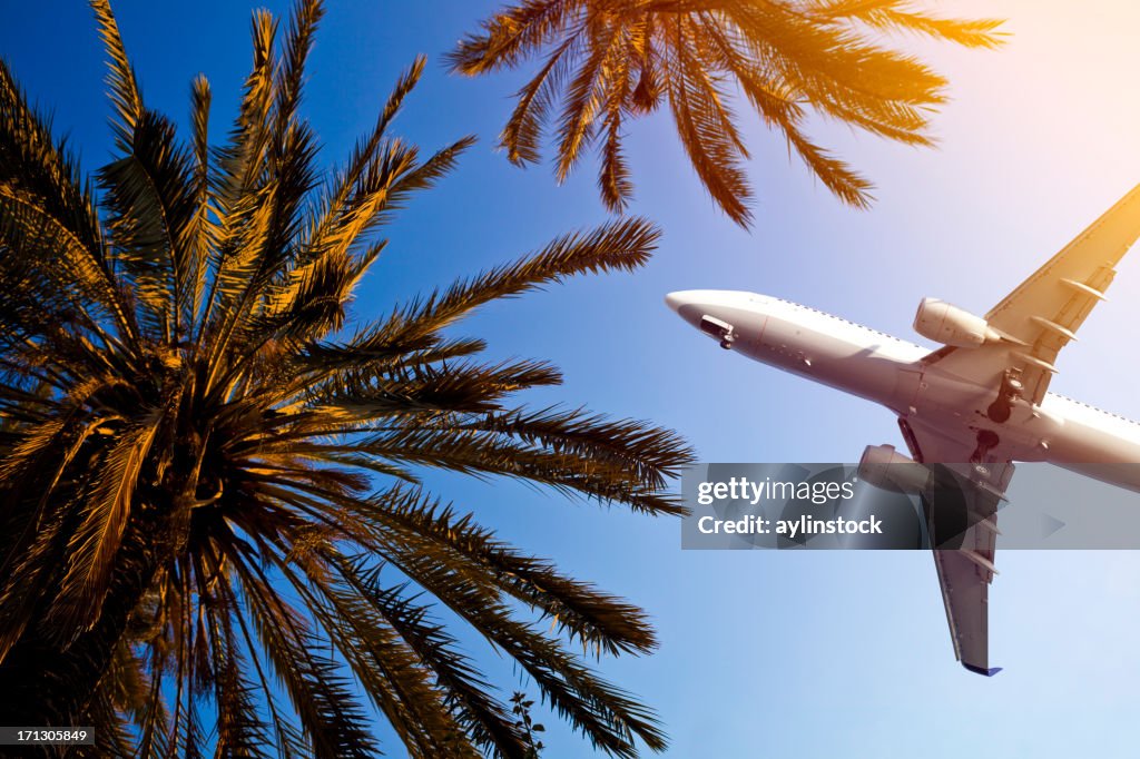 Airliner passing over palm trees