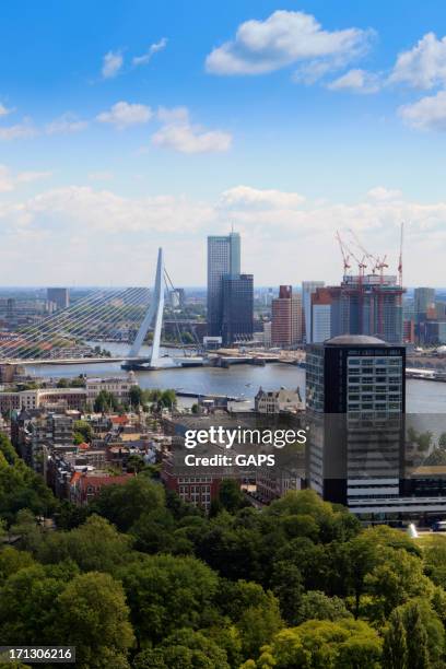 luftbild der stadt vom euromast tower aus gesehen - erasmusbrücke stock-fotos und bilder