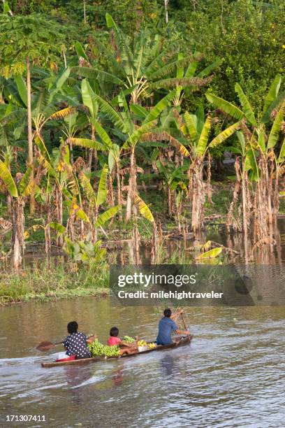 peruanische familien kanufahren amazonas - peruanisches amazonasgebiet stock-fotos und bilder