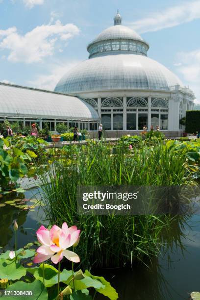 new york city botanical garden scene historic victorian architecture - us botanic garden stock pictures, royalty-free photos & images