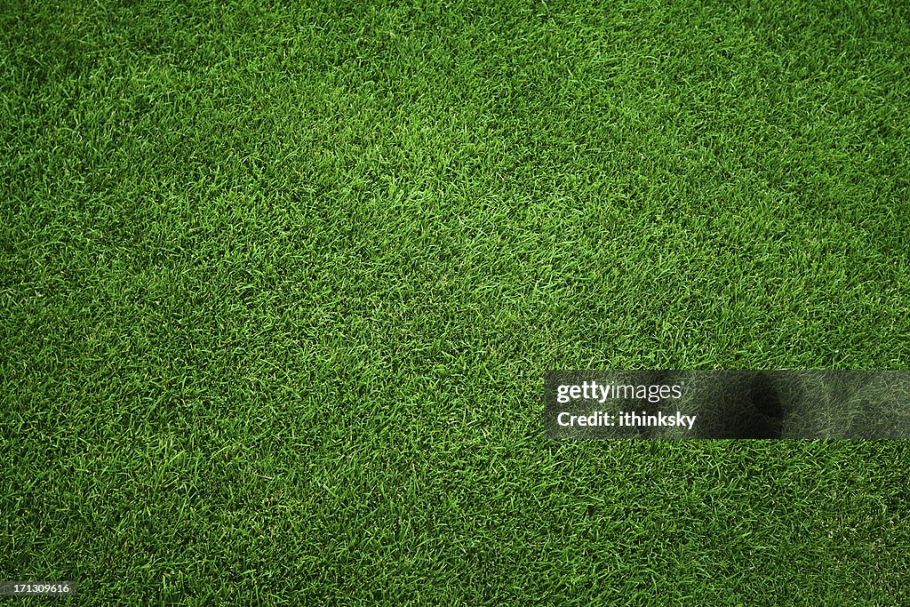 Green grass background