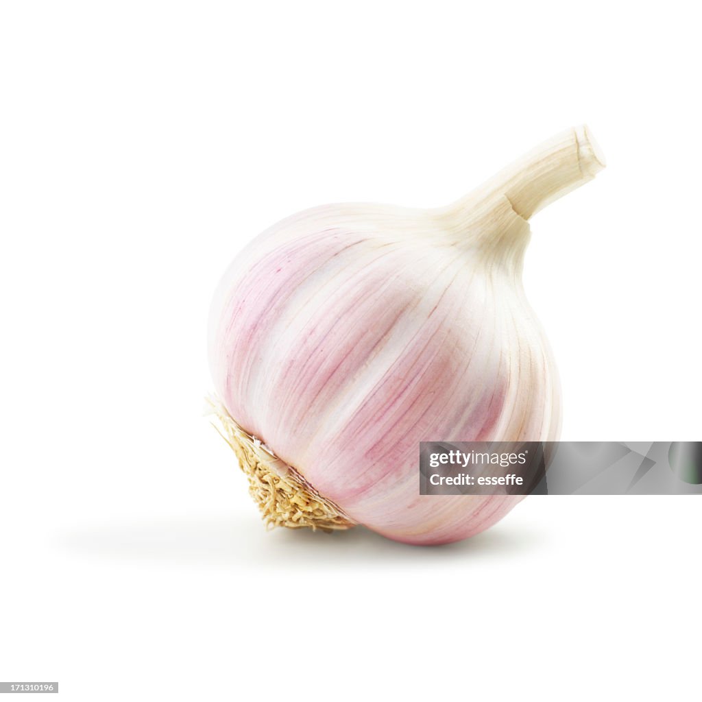 Garlic