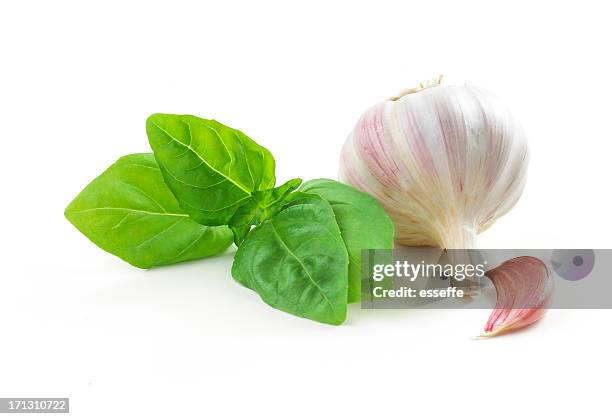 foglie di basilico e aglio - aglio foto e immagini stock