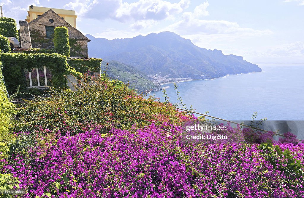 Amalfi Coast Vistas