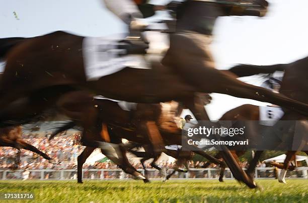 gallop race - day at the races stock pictures, royalty-free photos & images