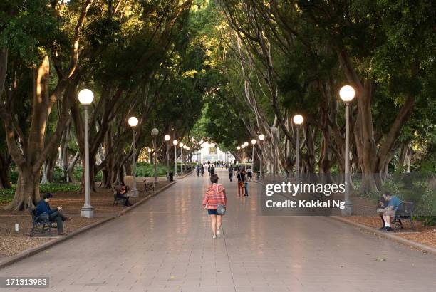 hyde park - hyde park sydney bildbanksfoton och bilder