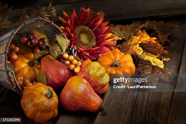 thanksgiving-stillleben - füllhorn stock-fotos und bilder