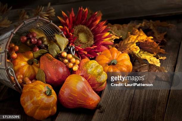 thanksgiving still life - hoorn des overvloeds stockfoto's en -beelden