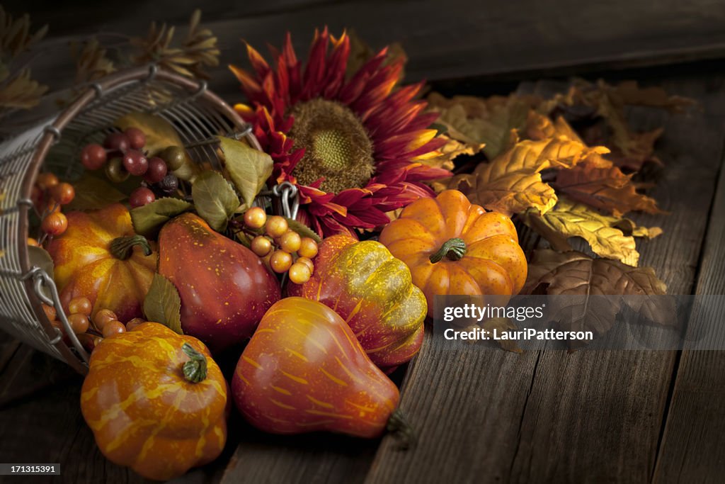 Thanksgiving Still Life