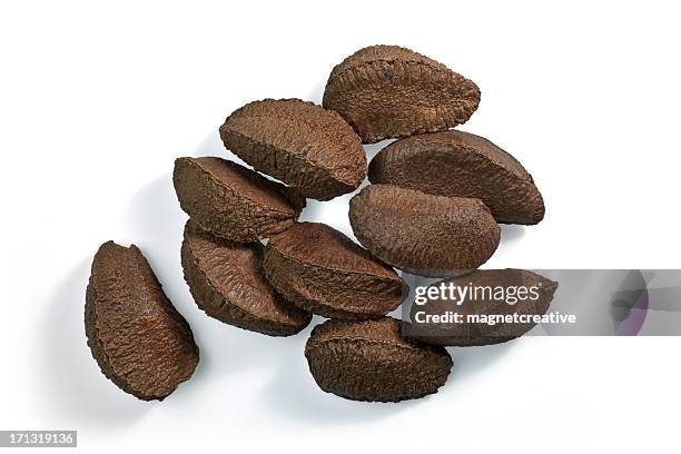 Raw Brown Organic Brazil Nuts in the Shell Stock Photo - Alamy