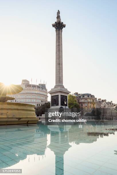 nelson's column at london trafalgar square at sunrise - trafalgar square stock pictures, royalty-free photos & images