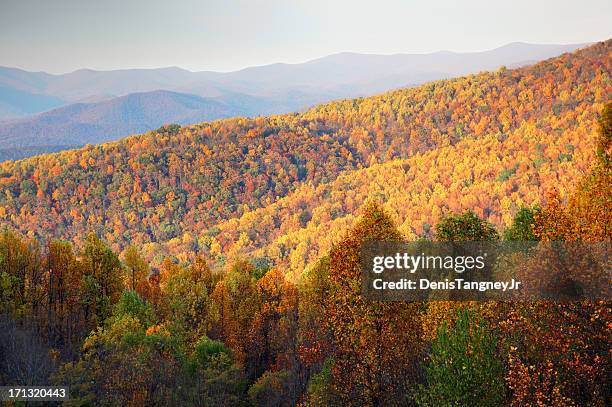 blue ridge mountains in autumn - blue ridge parkway stock pictures, royalty-free photos & images