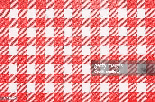 con textura - plaid fabrics fotografías e imágenes de stock