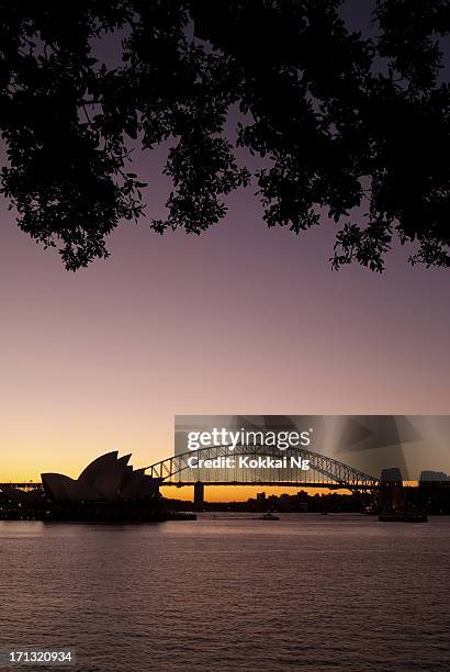 sydney from mrs macquaries point (night) - sydney harbour bridge night stock pictures, royalty-free photos & images