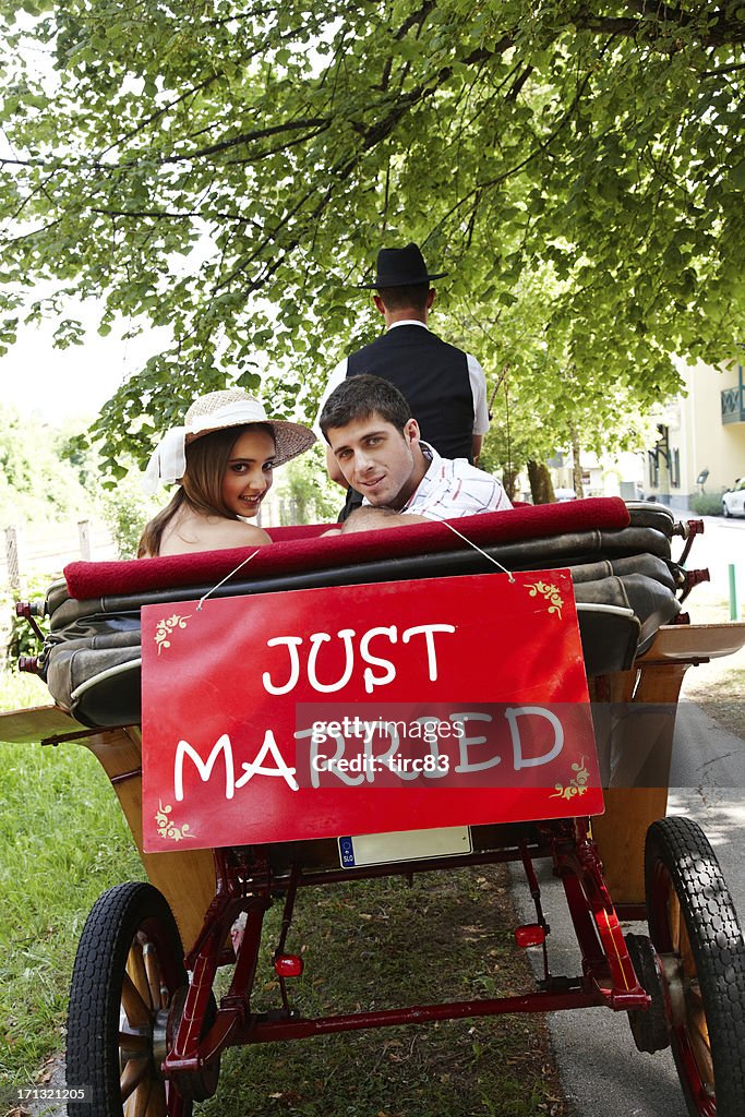 Young couple just married horsedrawn carriage