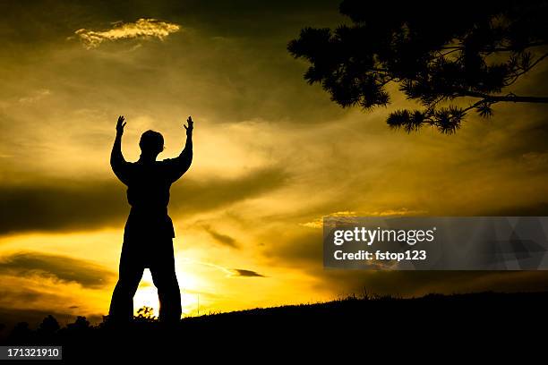 woman in silhouette practicing martial arts, karate. sunset. outdoors. sky. - submission combat sport stock pictures, royalty-free photos & images