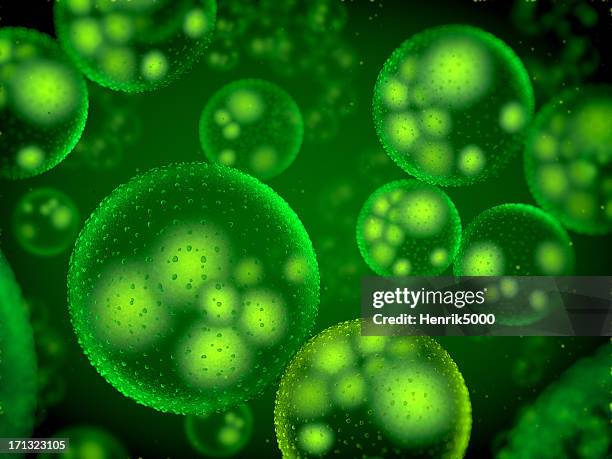 bakterien. - chloroplasten stock-fotos und bilder