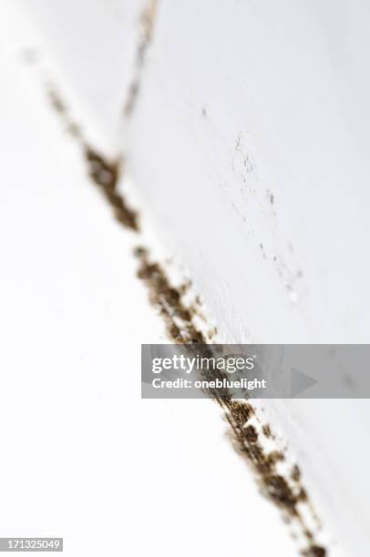 mould in bathroom - black mold stock pictures, royalty-free photos & images