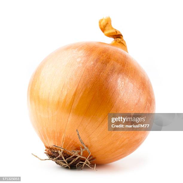 onion - ui stockfoto's en -beelden