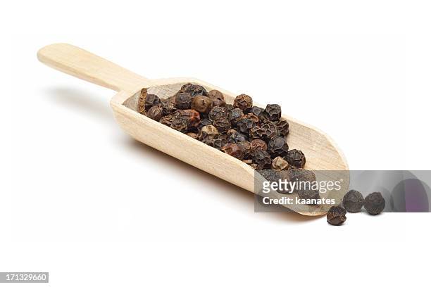 dried herb and spices: black pepper - träsked bildbanksfoton och bilder