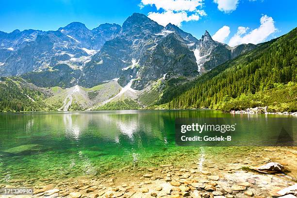 'morskie oko'lac dans les montagnes de tatra - tatra photos et images de collection