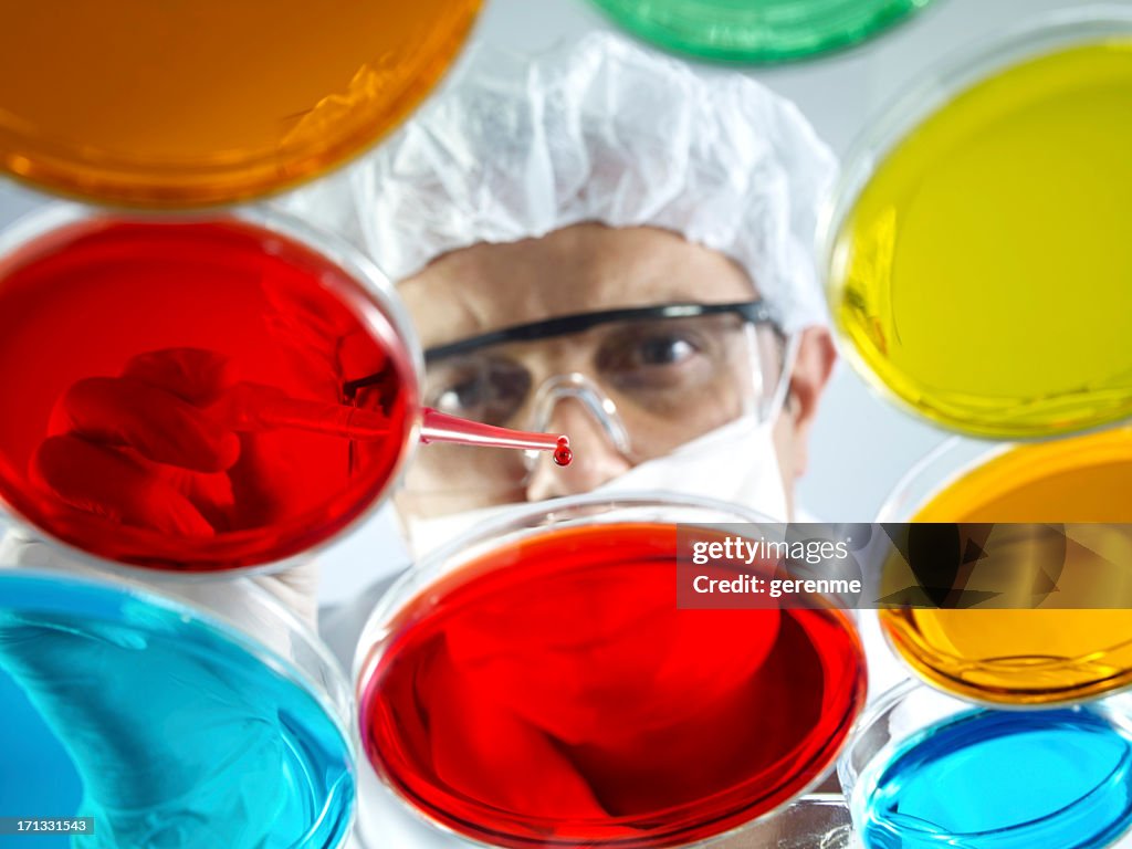 Male Scientist Working With Petri Dishes