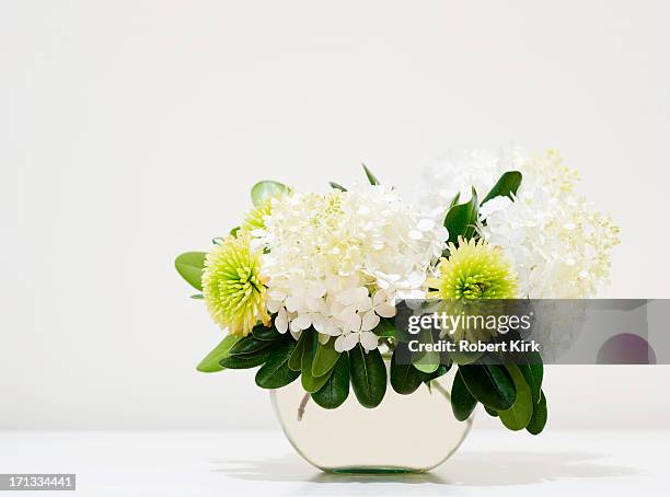 hydrangea and chrysanthemum still life - bouquet of green chrysanthemums stock pictures, royalty-free photos & images